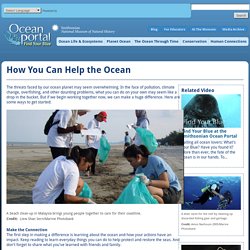 Smithsonian Ocean Portal