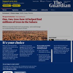One, two, tree: how AI helped find millions of trees in the Sahara