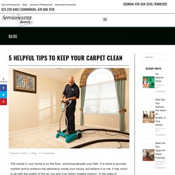 5 Helpful Tips to Keep Your Carpet Clean in Chattanooga