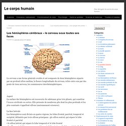 Les hémisphères cérébraux - le cerveau sous toutes ses faces