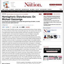 Hemispheric Disturbances: On Michael Gazzaniga