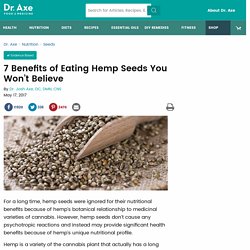 Hemp Seeds: Hemp Seed Nutrition + 7 Benefits