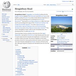 Hengistbury Head
