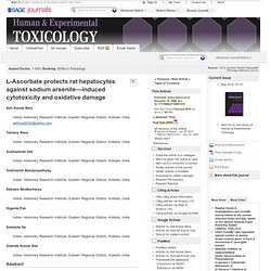 L-Ascorbate protects rat hepatocytes against sodium arsenite—induced cytotoxicity and oxidative damage