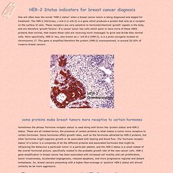 HER2 status in breast carcinomas