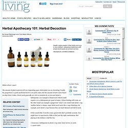 Herbal Apothecary 101: Herbal Decoction