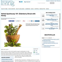 Herbal Apothecary 101: Elderberry Shrub with Honey