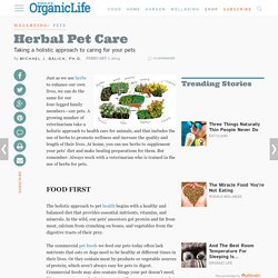 Herbal Pet Care