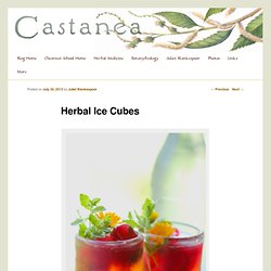 Herbal Ice Cubes
