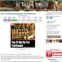 Top 13 Herbal Treatments For Toothache