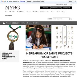 Herbarium Creative Projects from Home » New York Botanical Garden
