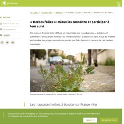 « Herbes folles » : mieux les connaitre et participer à leur suivi