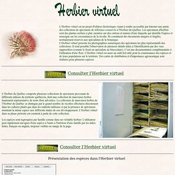 Herbier virtuel