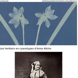 Anna Atkins