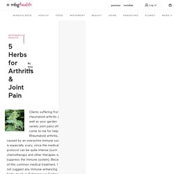5 Herbs for Arthritis & Joint Pain