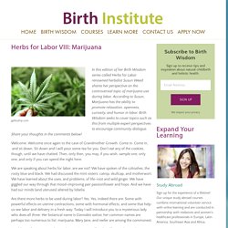Herbs for Labor VIII: Marijuana — Birth Institute