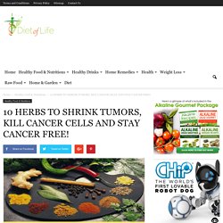 10 HERBS TO SHRINK TUMORS, KILL CANCER CELLS AND STAY CANCER FREE!