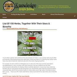 List Of 150 Herbs, Together With Their Uses & Benefits