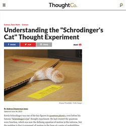 Here's How Schrodinger's Cat Works