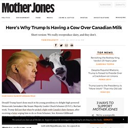 Here's Why Trump Is Having a Cow Over Canadian Milk