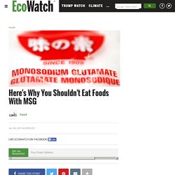 Here's Why You Shouldn't Eat Foods With MSG