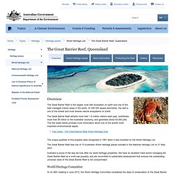 The Great Barrier Reef, Queensland - Overview