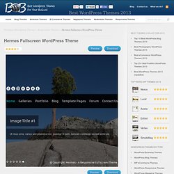 Hermes WordPress Theme