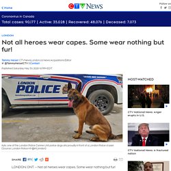 Not all heroes wear capes. Some wear nothing but fur!