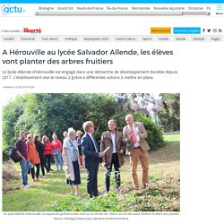 A Hérouville au lycée Salvador Allende, les élèves vont planter des arbres fruitiers