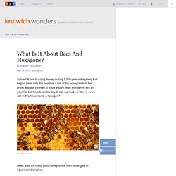 What Is It About Bees And Hexagons? : Krulwich Wonders...