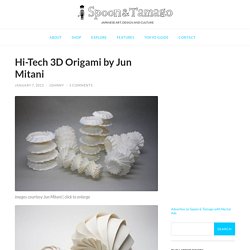 Hi-Tech 3D Origami by Jun Mitani