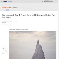 Six-Legged Giant Finds Secret Hideaway, Hides For 80 Years : Krulwich Wonders...
