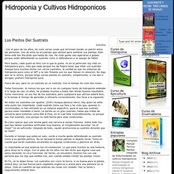 Hidroponia y Cultivos Hidroponicos: enero 2011