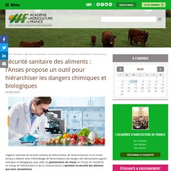 Sécurité sanitaire des aliments : l’Anses propose un outil pour hiérarchiser les dangers chimiques et biologiques