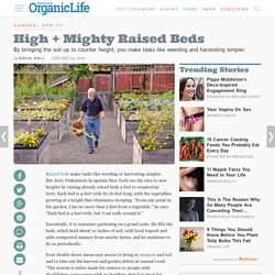 High and Mighty: Raised Beds