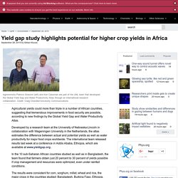 Yield gap study highlights potential for higher crop yields in Africa