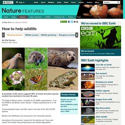 BBC Nature - Wildlife stocktake highlights UK's most threatened species