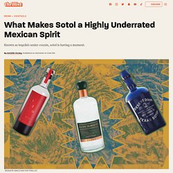 What Makes Sotol a Highly Underrated Mexican Spirit
