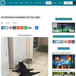 15 Hilarious Examples Of Cat Logic