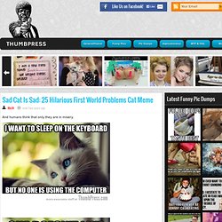Sad Cat Is Sad: 25 Hilarious First World Problems Cat Meme
