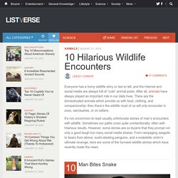 10 Hilarious Wildlife Encounters