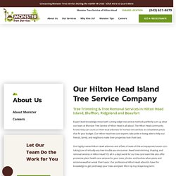 Monster Tree Service of Hilton Head