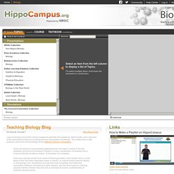 Ap biology lab homework help