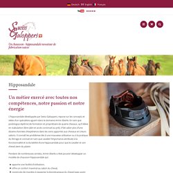 Hipposandale – Swiss Galoppers