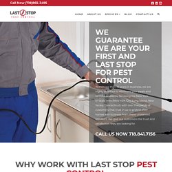 Hire Best Pest Control Services in New York and Safe Your Home