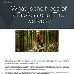 Hire Tree Service