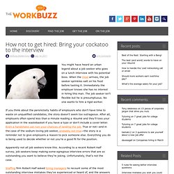 How not to get hired: Bring your cockatoo to the interview