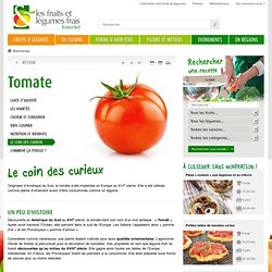 La tomate : histoire et anecdotes - Interfel - Les fruits et légumes frais