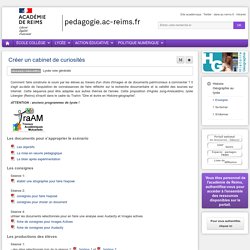 Enseigner : Histoire Géographie Ed Civique lycée - Créer un cabinet de curiosités