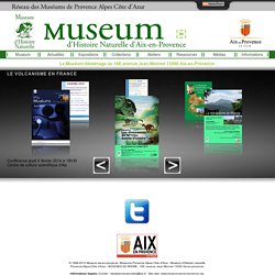 Darwin - De Saporta - Hôtel Boyer d'Eguilles - Museum d'histoire naturelle d'Aix-en-Provence